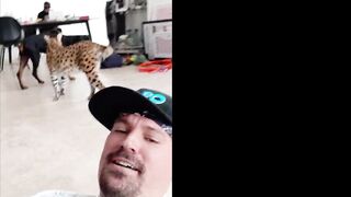 Pornhub: Got to Love Tiger King!