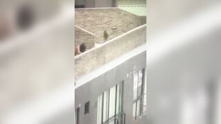 Public Sex: Gals pumping on a balcony