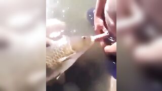 Fish suck - WTF?