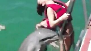 Horny Dolphin Wants His Prostitute Back - Funny