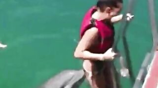 Humorous: Lascivious Dolphin Desires His Prostitute Back