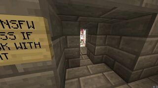 the worst thing I have ever made in Minecraft: The hentai room