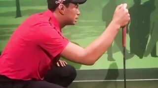 Tiger surveying the hole - Funny