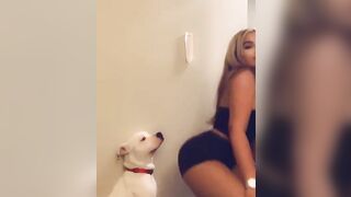 Humorous: The dog is not impressed