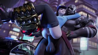 Overwatch: Doomfist copulates Police D.VA