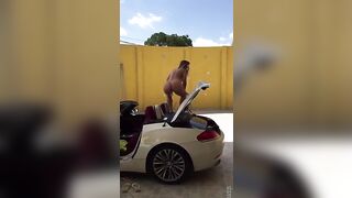 Twerking on a car
