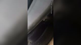 Watching girls pee from underneath a van