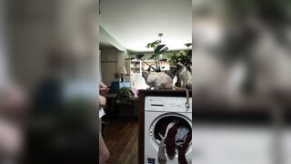 Laundry is boring! - Petite Gone Wild